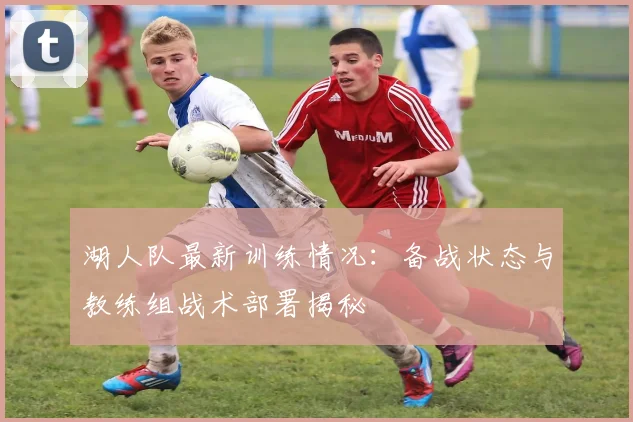 湖人队最新训练情况:备战状态与教练组战术部署揭秘